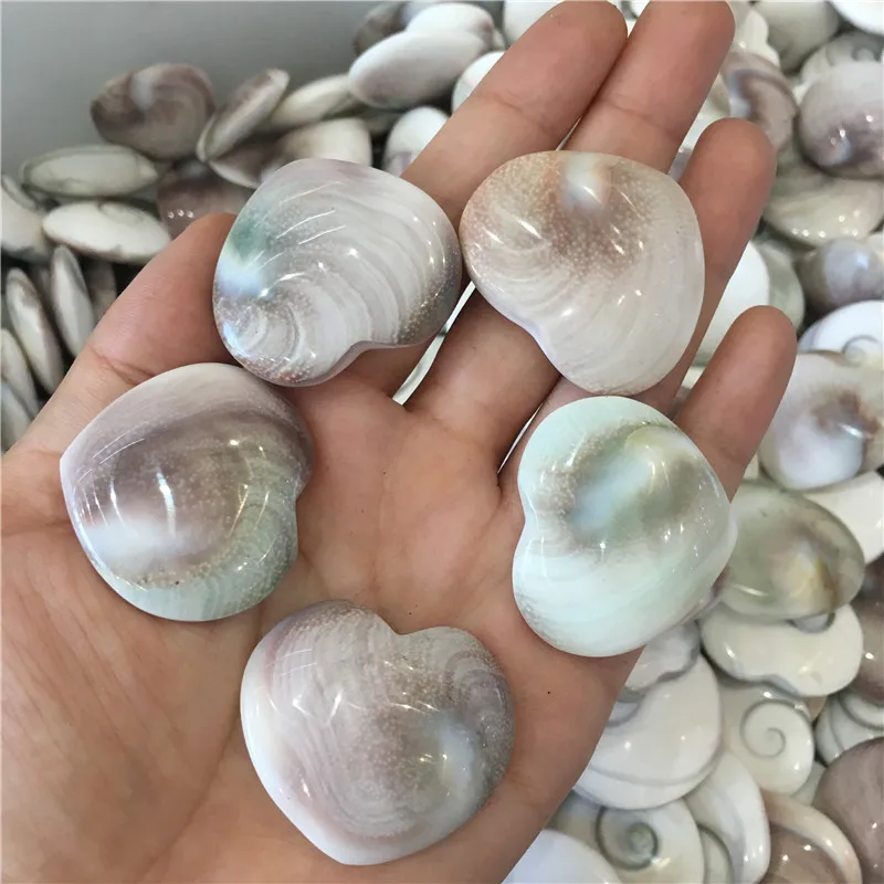 5pcs beautiful natural stones and minerals sun conch heart gemstones reiki healing crystals as gifts for Saint Valentine's Day
5pcs beautiful natural stones and minerals sun conch heart gemstones reiki healing crystals as gifts for Saint Valentine's Day