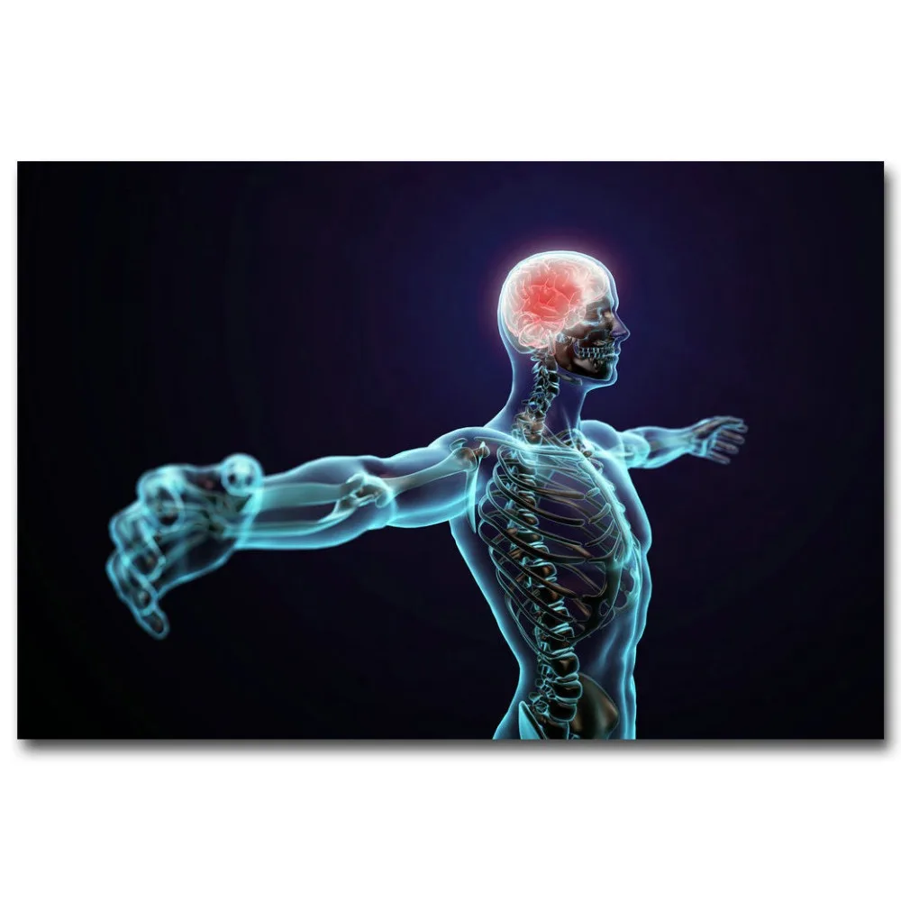 Art Print Human Anatomy System Brain Medical Science 14x21 24x36 27x40 Inch Silk Poster Wall Canvas Decoration X-052 | Дом и сад