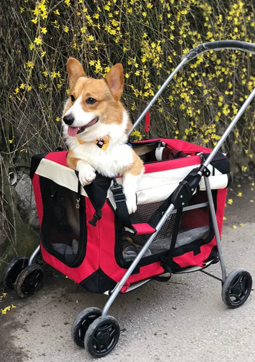KAWEIDA Foldable pet stroller Rolling Luggage Spinner Cat and dog Suitcase Wheels Carry on folding Trolley pets Travel Bag
KAWEIDA Foldable pet stroller Rolling Luggage Spinner Cat and dog Suitcase Wheels Carry on folding Trolley pets Travel Bag