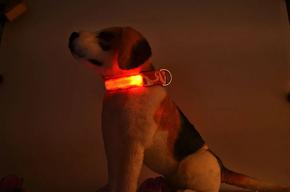2019 New StylePet Camouflage Style Glow Light Pattern Collar Buckle Adjustable Safety Collardog accessories Pet supplies
2019 New StylePet Camouflage Style Glow Light Pattern Collar Buckle Adjustable Safety Collardog accessories Pet supplies