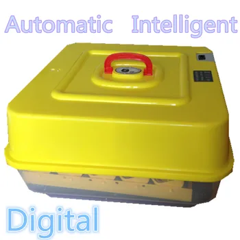 Automatic Intelligent Digital Egg Incubator With Thermostatic Controller Chicken Duck Goose Poultry Pigeon Quail Bird Brooder
Automatic Intelligent Digital Egg Incubator With Thermostatic Controller Chicken Duck Goose Poultry Pigeon Quail Bird Brooder