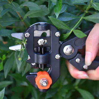 Garden Hand Tools Secator Grafting Pruners Cutting Tool + 2 Blade Gardenn Tool Set Tree Pruning Tools Scissor Plant Shears
Garden Hand Tools Secator Grafting Pruners Cutting Tool + 2 Blade Gardenn Tool Set Tree Pruning Tools Scissor Plant Shears