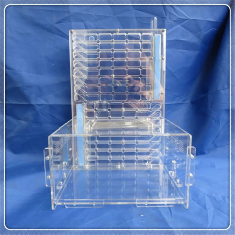 T Edition Acrylic Big Ants Nest Ant Moisture with Feeding Area Double Water Tower Farm Ant Nest Insect Cages
T Edition Acrylic Big Ants Nest Ant Moisture with Feeding Area Double Water Tower Farm Ant Nest Insect Cages
