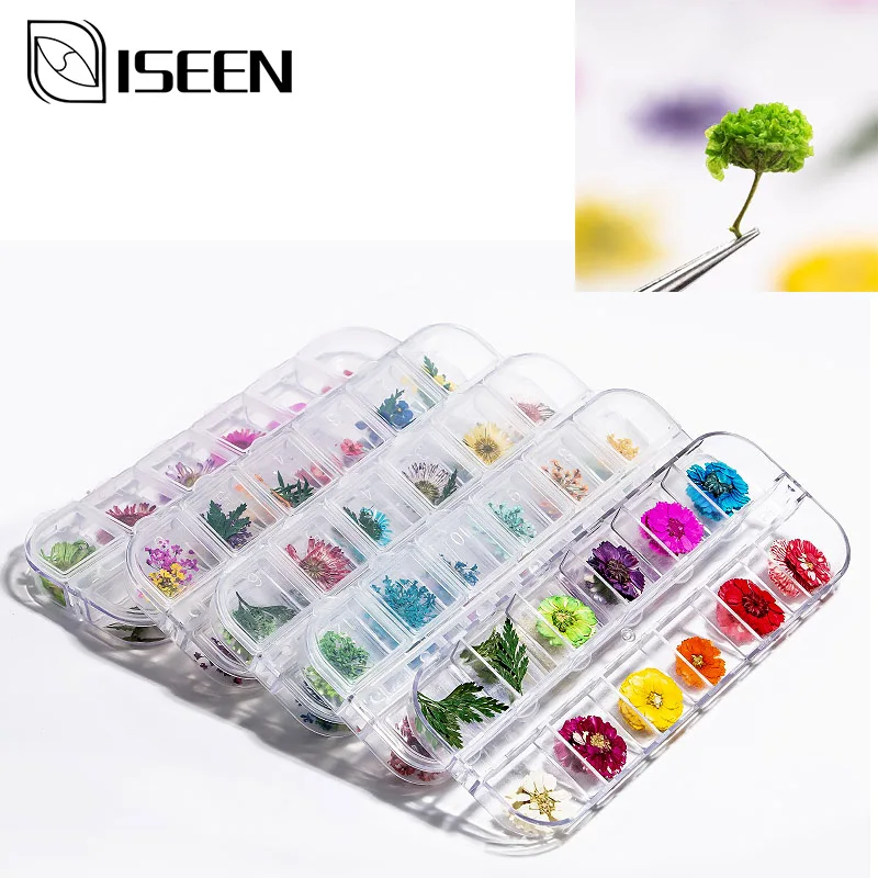 12 Colors Dried Flower For Nail Art Decorations Nail Flower Dried Flower Ornaments DIY Jewelry Set Colored Petals Decoratio
12 Colors Dried Flower For Nail Art Decorations Nail Flower Dried Flower Ornaments DIY Jewelry Set Colored Petals Decoratio