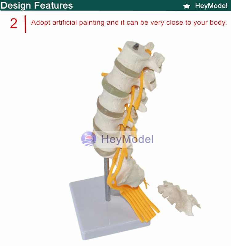 2. _