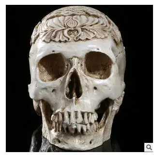 Craftwork character Skull model Resin Skull model of Galba Art copy supplies crafts statue home decoration
Craftwork character Skull model Resin Skull model of Galba Art copy supplies crafts statue home decoration