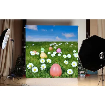 Flower field kids photography backgrounds Fotografia vinyl Easter egg photo backdrops for photographic studio accessories GE-115
Flower field kids photography backgrounds Fotografia vinyl Easter egg photo backdrops for photographic studio accessories GE-115