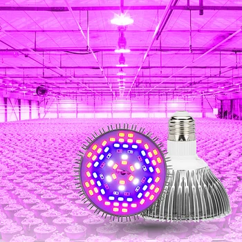LED Full Spectrum Grow Spotlight Bulb 5W 10W 30W 50W 80W AC85-265V LED Grow Light LED Planting Lamp Phyto For Indoor Seeding
LED Full Spectrum Grow Spotlight Bulb 5W 10W 30W 50W 80W AC85-265V LED Grow Light LED Planting Lamp Phyto For Indoor Seeding