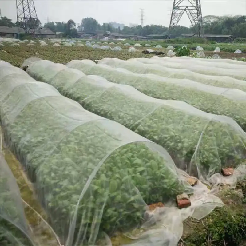 Tool Outdoor Netting Protective Mesh Pest Control Garden Vegetable Easy Use Fruit Tree Greenhouse Bird Net Plant Crops Barrier
Tool Outdoor Netting Protective Mesh Pest Control Garden Vegetable Easy Use Fruit Tree Greenhouse Bird Net Plant Crops Barrier