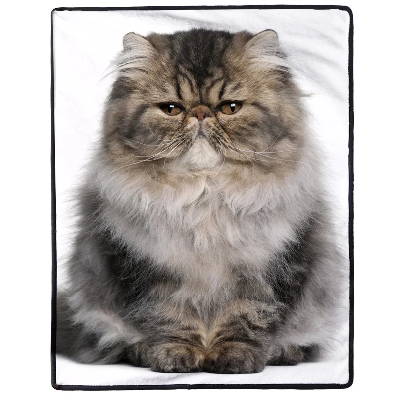 Pet Blanket 3D Printing Soft Cushion Pattern of Cute Pet Big Dog Cat Blanket S/M/L
Pet Blanket 3D Printing Soft Cushion Pattern of Cute Pet Big Dog Cat Blanket S/M/L