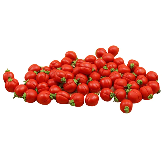 FBIL-10X Dollhouse Miniature Model Mini Food Vegetables Kitchen Decor Gift 1:12 Set Round Pepper
FBIL-10X Dollhouse Miniature Model Mini Food Vegetables Kitchen Decor Gift 1:12 Set Round Pepper
