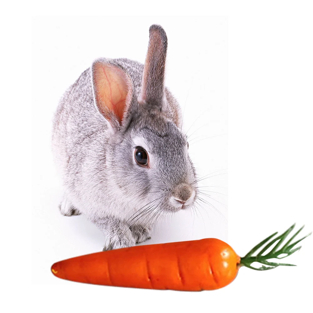 100 pcs/set Artificial Easter Foam Carrots Simulation Vegetables Fake Fruit Photography Prop Model Home Kitchen Party Decoration
100 pcs/set Artificial Easter Foam Carrots Simulation Vegetables Fake Fruit Photography Prop Model Home Kitchen Party Decoration