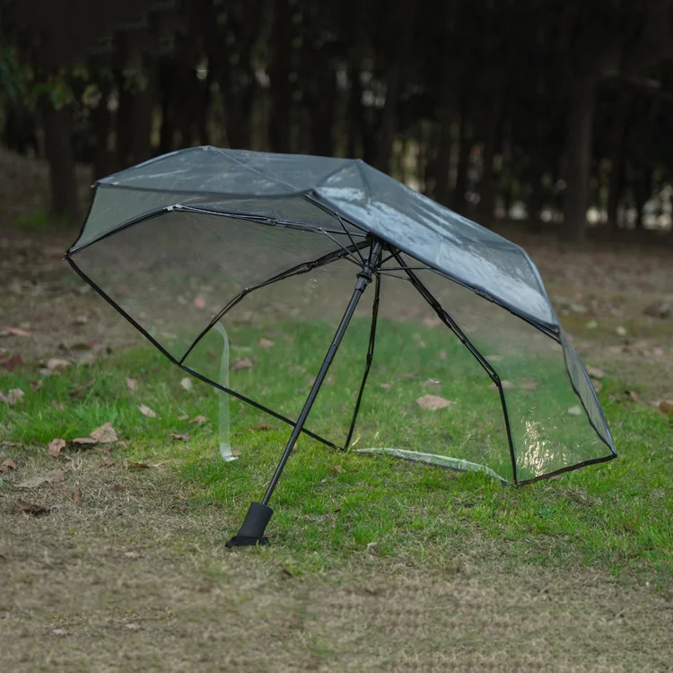 Transparent Umbrella Automatic Umbrella Rain Women Men Sun Rain Auto Umbrella Compact Folding Windproof Style Clear umbrella
Transparent Umbrella Automatic Umbrella Rain Women Men Sun Rain Auto Umbrella Compact Folding Windproof Style Clear umbrella