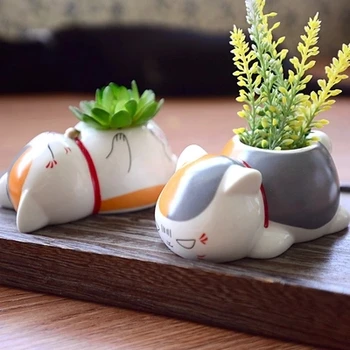Cat teacher ceramic small potted plant flower set indoor Xia Miao friends account anime around
Cat teacher ceramic small potted plant flower set indoor Xia Miao friends account anime around