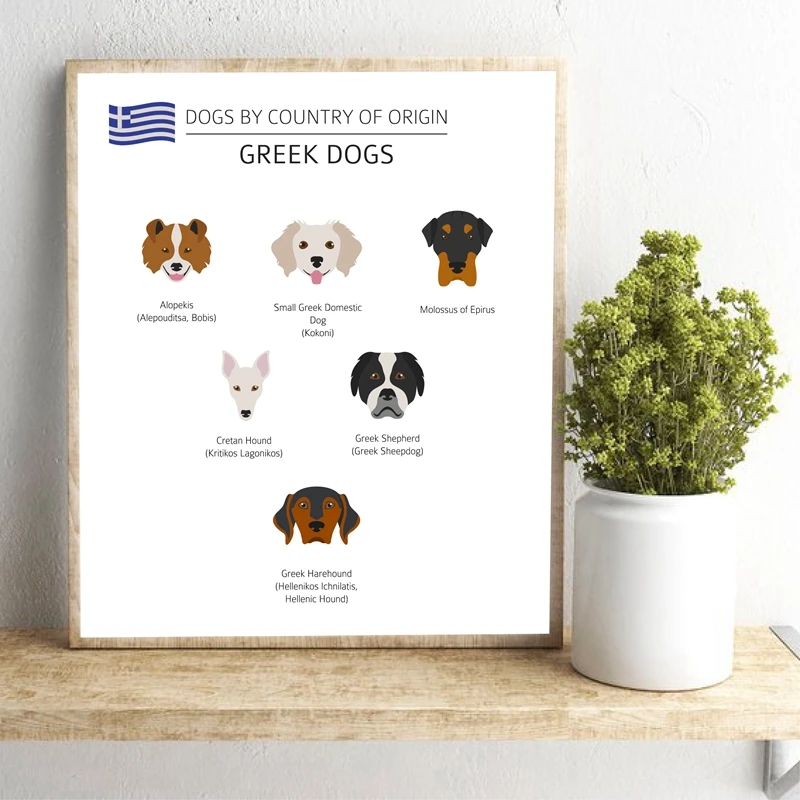 Greek Dog Breeds Poster Pet Shop Decor