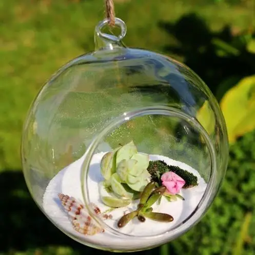 8pcs Wall Hanging Transparent Glass Ball Vase Multi use hydroponic flower vase Micro Landscape DIY Bottle Candlestick Home
8pcs Wall Hanging Transparent Glass Ball Vase Multi use hydroponic flower vase Micro Landscape DIY Bottle Candlestick Home