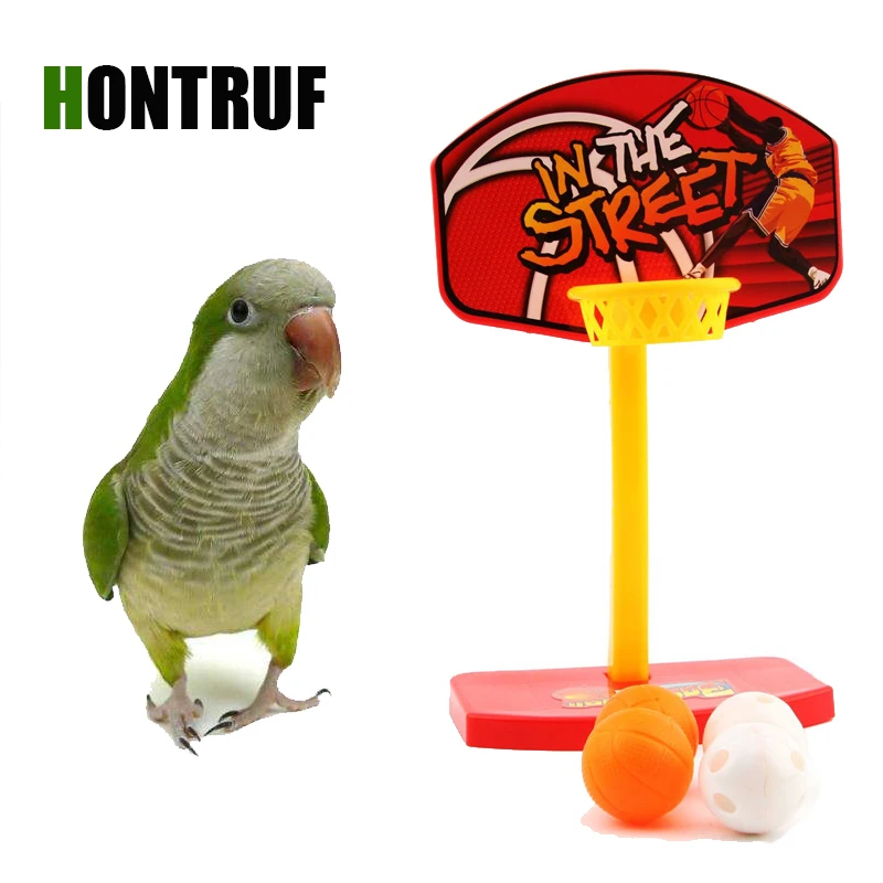 Parrot puzzle training intellectual development toy parrot shooting toy bite ball mini basketball basket desktop toy
Parrot puzzle training intellectual development toy parrot shooting toy bite ball mini basketball basket desktop toy
