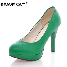 cat with high heels