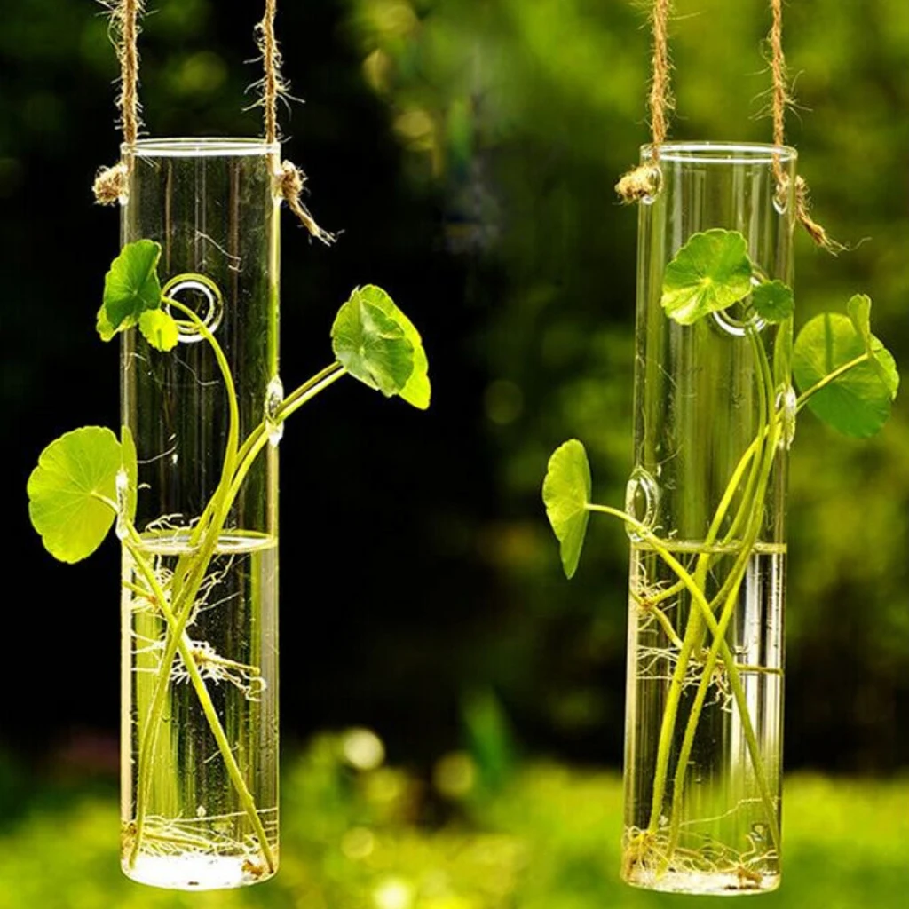 New Hot Sale Cylinder Clear Glass Wall Hanging Vase table Bottle for Plant Flower Home Living Room Decoration
New Hot Sale Cylinder Clear Glass Wall Hanging Vase table Bottle for Plant Flower Home Living Room Decoration