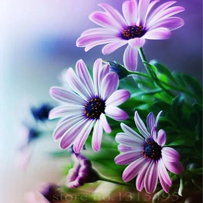 diy diamond embroidery flowers painting cross stitch kits needlework diamond mosaic flowers picture pastes crafts N022
diy diamond embroidery flowers painting cross stitch kits needlework diamond mosaic flowers picture pastes crafts N022