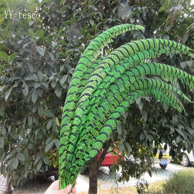 100Pcs/Lot 32-36inch 80-90cm Apple green Lady Amherst Pheasant Tail Feathers Wedding Decorations Natural Pheasant Feathers plume
100Pcs/Lot 32-36inch 80-90cm Apple green Lady Amherst Pheasant Tail Feathers Wedding Decorations Natural Pheasant Feathers plume