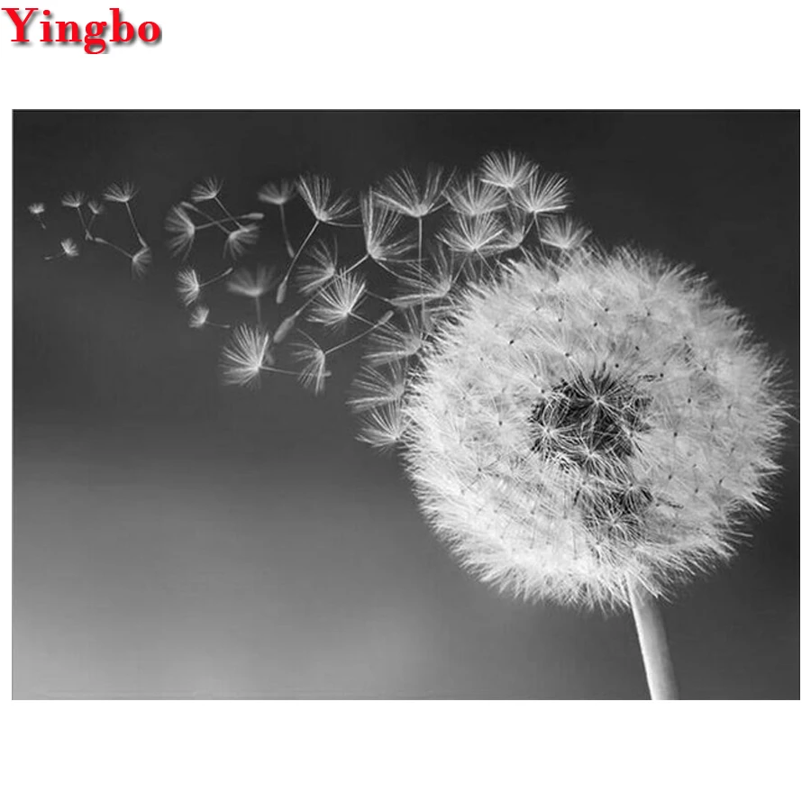 NEW 5d diy Diamond embroidery Dandelion diamond painting Cross Stitch full square round diamond mosaic Black and white art
NEW 5d diy Diamond embroidery Dandelion diamond painting Cross Stitch full square round diamond mosaic Black and white art