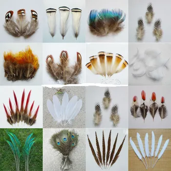 10Pcs/Lot High quality Natural Pheasant Feathers Chicken Feather Plume Diy jewelry Campanula Dance clothing Decorative
10Pcs/Lot High quality Natural Pheasant Feathers Chicken Feather Plume Diy jewelry Campanula Dance clothing Decorative