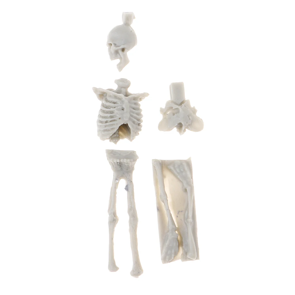 1:35 Scale Mini Sand Table Scene Layout Resin Skull Skeleton Model Toy 1:35 Scale Mini Sand Table Scene Layout Resin Skull Skeleton Model Toy
