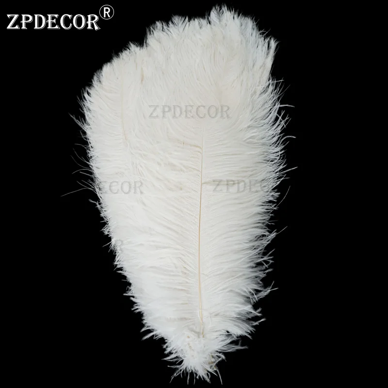 CHINAZP Factory Size 55-60cm100pcs/lot+45-50cm 650pieces Best Decorative white Large Ostrich Feathers
CHINAZP Factory Size 55-60cm100pcs/lot+45-50cm 650pieces Best Decorative white Large Ostrich Feathers