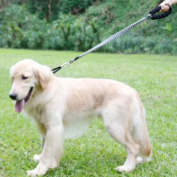 JORMEL Dog Mountain Climbing Rope Reflective Dog Leash Nylon Rope Pet Running Tracking Leashes High elastic stretch belt
JORMEL Dog Mountain Climbing Rope Reflective Dog Leash Nylon Rope Pet Running Tracking Leashes High elastic stretch belt