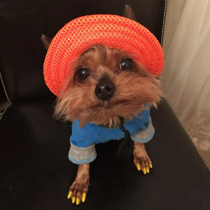 Tailup Pet Cat Helmet Apparel Winter Summer Sun Puppy Small Dog Baseball Princess Cap Hat for Dog Cats Pets with Ear Holes S M
Tailup Pet Cat Helmet Apparel Winter Summer Sun Puppy Small Dog Baseball Princess Cap Hat for Dog Cats Pets with Ear Holes S M