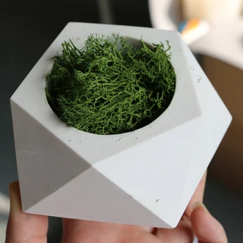 Geometric polygon concrete planter silicone mold home decoration craft potting concrete plant cement vase molds 3D custom
Geometric polygon concrete planter silicone mold home decoration craft potting concrete plant cement vase molds 3D custom