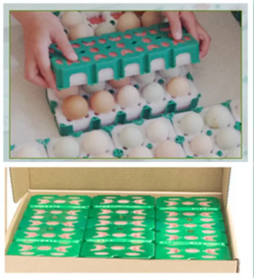 EPE Foam+pvc frame Egg Holes Eggs Packaging Materials Packing Pallet Egg Storage Box Tool
EPE Foam+pvc frame Egg Holes Eggs Packaging Materials Packing Pallet Egg Storage Box Tool