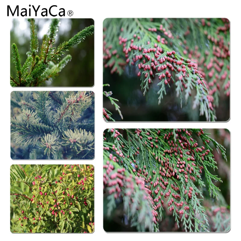 MaiYaCa My Favorite Balsam fir Laptop Computer Mousepad Size for 18x22cm 25x29cm Rubber Mousemats
MaiYaCa My Favorite Balsam fir Laptop Computer Mousepad Size for 18x22cm 25x29cm Rubber Mousemats