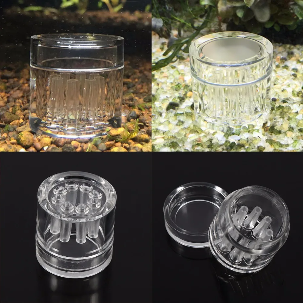 8 Hole Snail Trap Transparent Leech Vivarium Planarian Pest Catch Pen red bee shrimp Worm Bait Feeding Box Aquarium Cleaner Tool
8 Hole Snail Trap Transparent Leech Vivarium Planarian Pest Catch Pen red bee shrimp Worm Bait Feeding Box Aquarium Cleaner Tool