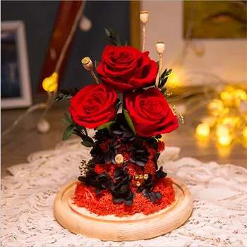 New Birthday Gift Beauty and Beast Rose Romantic Valentine's Day Gift Eternal Exclusive Rose in Glass Dome Mother's Day Gift
New Birthday Gift Beauty and Beast Rose Romantic Valentine's Day Gift Eternal Exclusive Rose in Glass Dome Mother's Day Gift