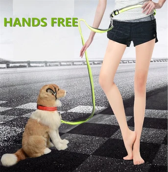 N32 Nylon Pet Dogs Leash Running Elasticity Hand Free Safety Reflective Running Dogs Jogging Lead and Adjustable Waist Rope
N32 Nylon Pet Dogs Leash Running Elasticity Hand Free Safety Reflective Running Dogs Jogging Lead and Adjustable Waist Rope