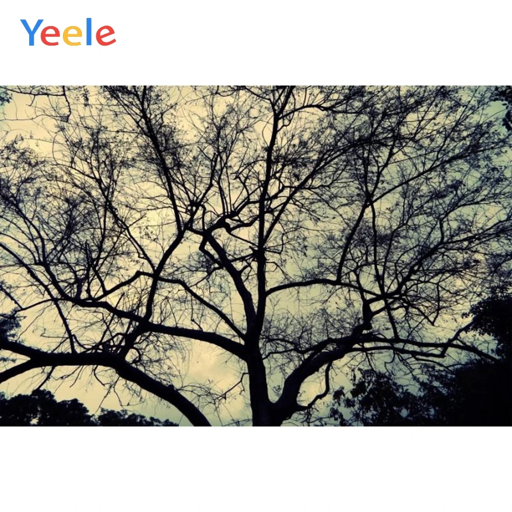 Yeele Night Tree Vine Sky Nature Scenic Baby Portrait Photography Backdrops Photographic Backgrounds For Photo Studio
Yeele Night Tree Vine Sky Nature Scenic Baby Portrait Photography Backdrops Photographic Backgrounds For Photo Studio