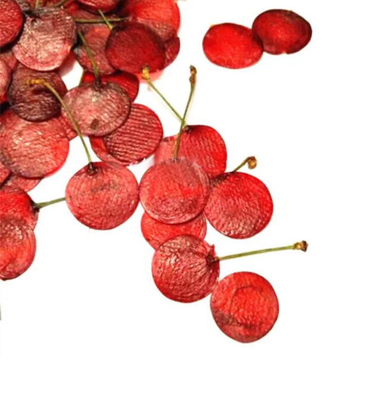 10pcs Dried Pressed Exopy Fruit Cherry Slices Plant Herbarium For Jewelry Photo Frame Phone Case Craft DIY Making Accessories
10pcs Dried Pressed Exopy Fruit Cherry Slices Plant Herbarium For Jewelry Photo Frame Phone Case Craft DIY Making Accessories