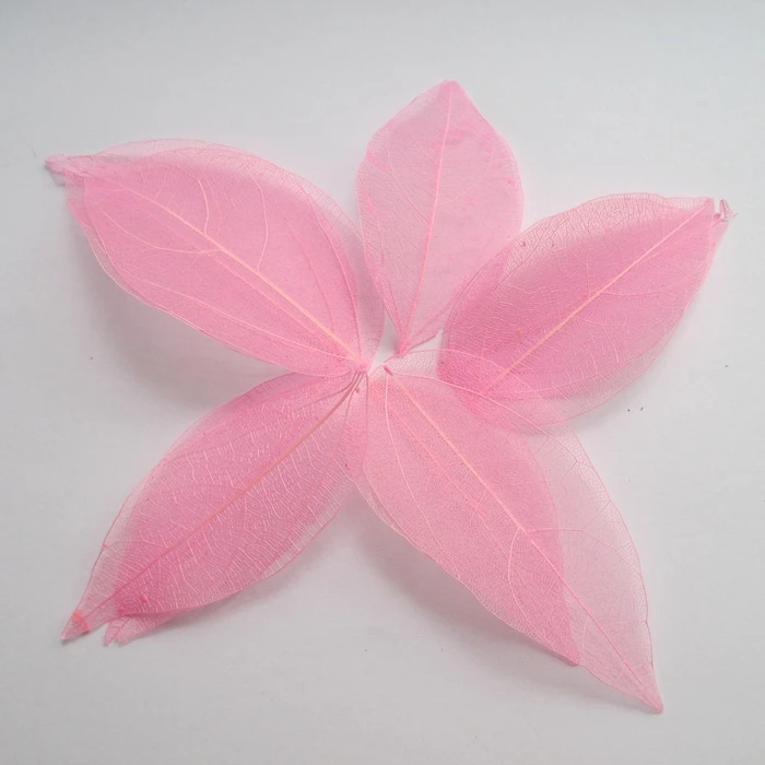Free shipping Wholesale 100pcs pink color Natural skeleton leaves for DIY 3-7cm 014005002
Free shipping Wholesale 100pcs pink color Natural skeleton leaves for DIY 3-7cm 014005002