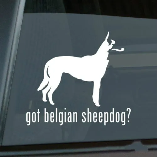 Got Belgian Sheepdog Sticker Die Cut Vinyl - v2 Car decal Size(inch): 6.00 x 5.40
Got Belgian Sheepdog Sticker Die Cut Vinyl - v2 Car decal Size(inch): 6.00 x 5.40