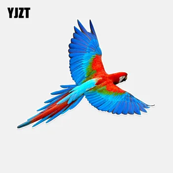 YJZT 15.1*11.9CM Beautiful Parrot PVC Decor Car Sticker Bumper Car Window 11A0098
YJZT 15.1*11.9CM Beautiful Parrot PVC Decor Car Sticker Bumper Car Window 11A0098