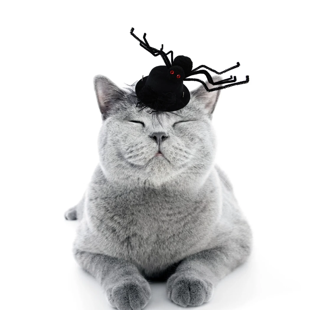 Halloween Pet Clothing Accessories Funny Spider Cap Decorative Spider Dog Party Hat Pet Costume Hat For Cats Dogs Pet Dress Up
Halloween Pet Clothing Accessories Funny Spider Cap Decorative Spider Dog Party Hat Pet Costume Hat For Cats Dogs Pet Dress Up