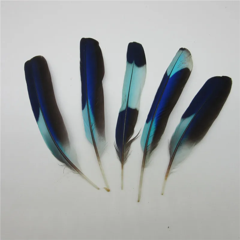 wholesale 10 PCS/Lot Natural Kingfisher Feather 2-4"/5-10CM DIY Eagle feather Jewelry Accessories Plumes
wholesale 10 PCS/Lot Natural Kingfisher Feather 2-4"/5-10CM DIY Eagle feather Jewelry Accessories Plumes