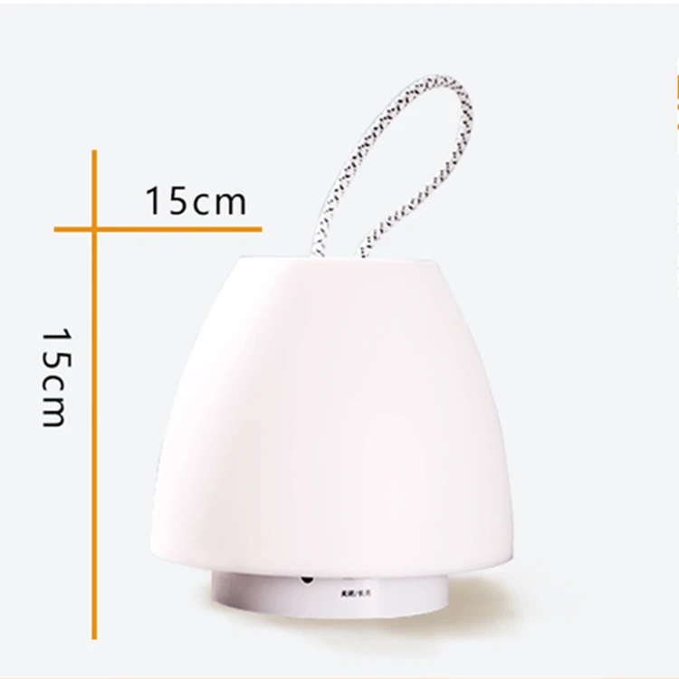 Mushroom lantern19