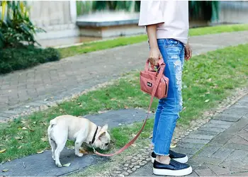 Pet Leash Bag Dog Puppy Walking Leash with Functional Carrier Bag Set for Poopbag or Treat Bag
Pet Leash Bag Dog Puppy Walking Leash with Functional Carrier Bag Set for Poopbag or Treat Bag