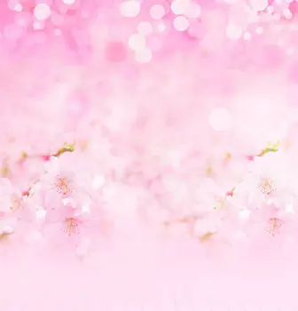 solid pink Floral Backgrounds for sale Vinyl cloth High quality Computer printed newborns backdrop
solid pink Floral Backgrounds for sale Vinyl cloth High quality Computer printed newborns backdrop