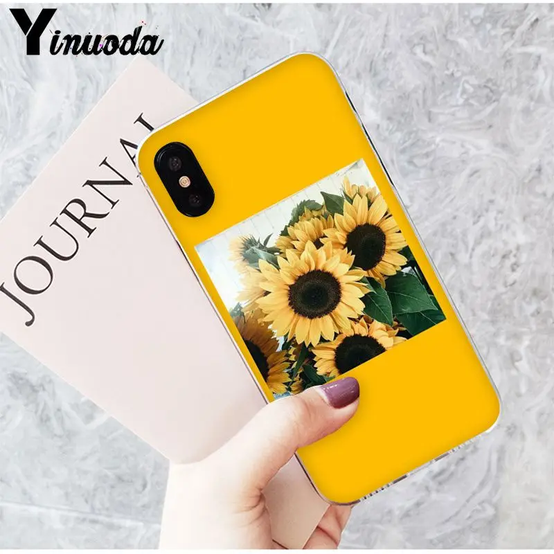 Yellow flower Small daisy sunflower