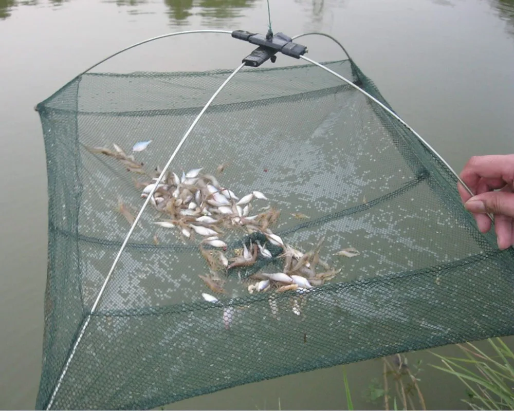 60*60cm Fishing Foldable Mesh Baits Trap Cast Dip Net Fish Crab Shrimp Minnow Baits Mesh Trap
60*60cm Fishing Foldable Mesh Baits Trap Cast Dip Net Fish Crab Shrimp Minnow Baits Mesh Trap