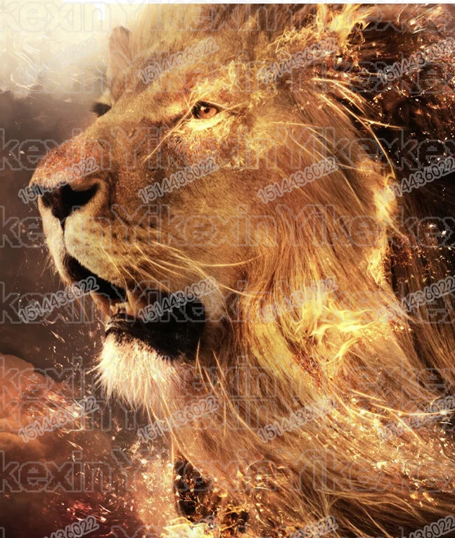 5D round Diamond Embroidery animal lion Full Mosaic pattern Diamond Painting Kit Diamond Picture art
5D round Diamond Embroidery animal lion Full Mosaic pattern Diamond Painting Kit Diamond Picture art